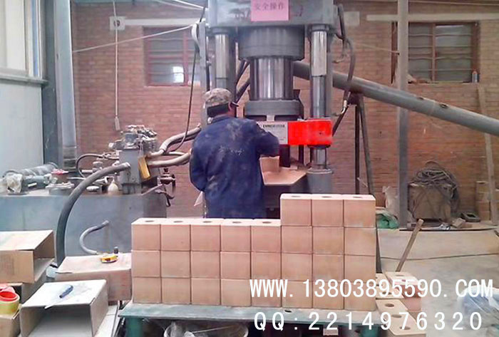 甘肅高台舔鹽壓塊機